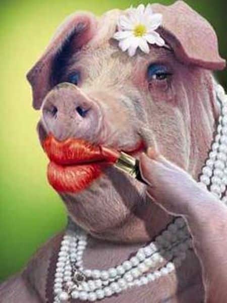 Office Politics-Lipstick On A Pig