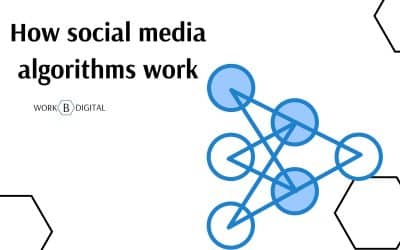 How Social Media Algorithms Work